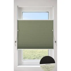 Fenstr Dubbel Plisségordijn Dana Groen Lichtdoorlatend