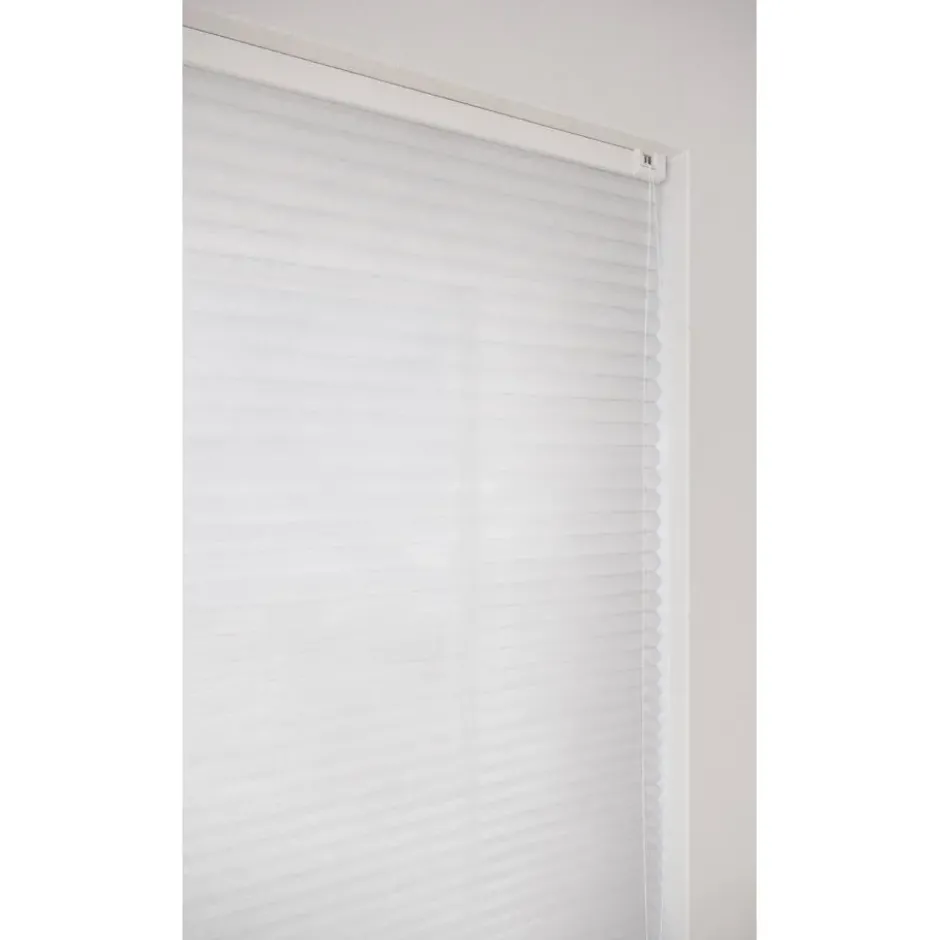 Fenstr Dubbel Plissé Jana Wit Lichtdoorlatend