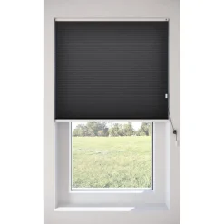 Fenstr Dubbel Plissé Jana Zwart Lichtdoorlatend