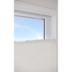 Fenstr Dubbel Plissé 45mm Lotte Wit Lichtdoorlatend