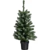 Kerstboom Fiss Frosted Groen 90 cm