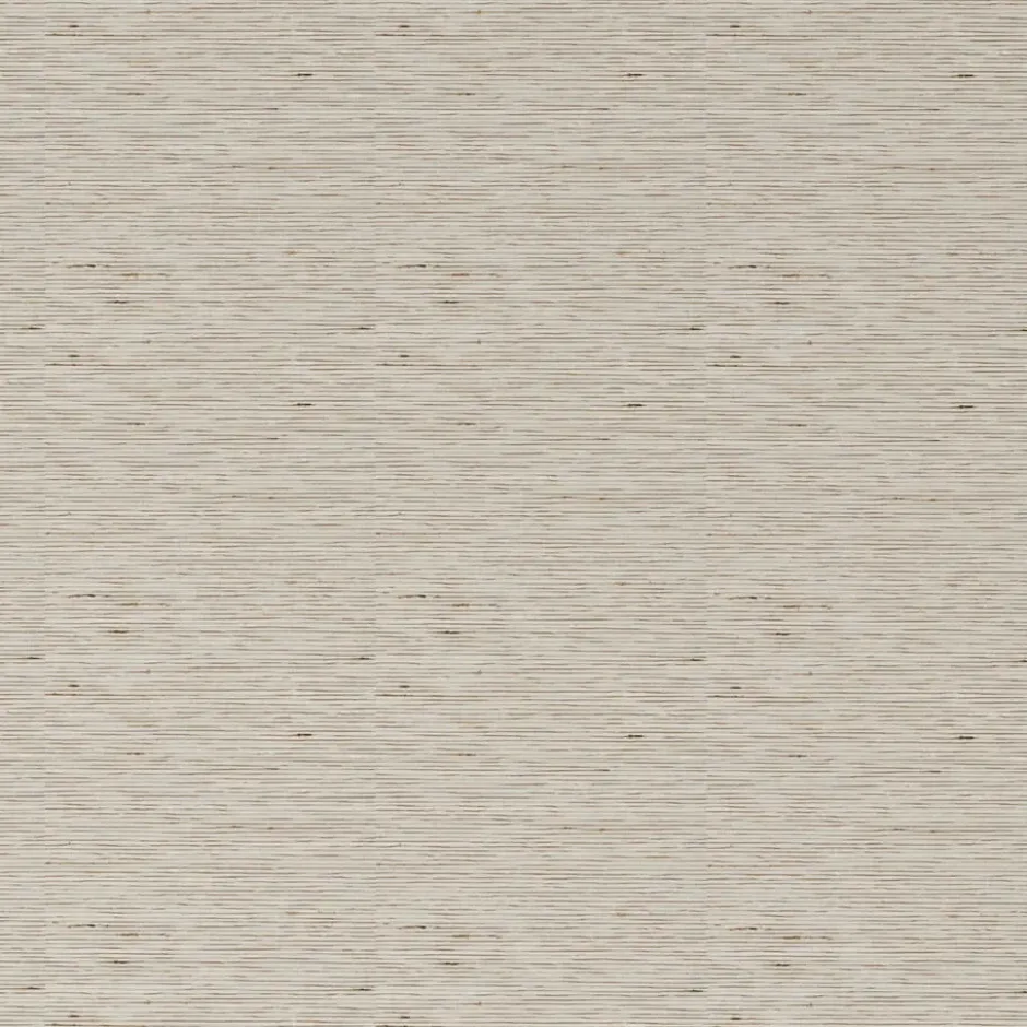 Rolgordijn Juna Beige Transparant