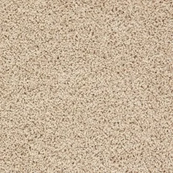 Staal Tapijt Anamosa Beige