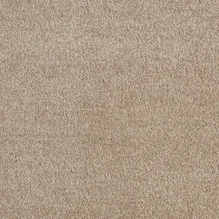 Staal Tapijt Chard Beige
