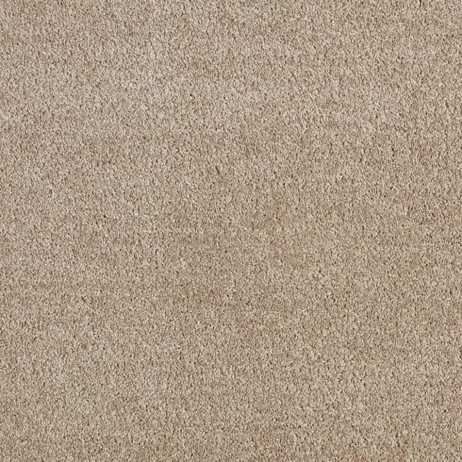 Staal Tapijt Chard Beige