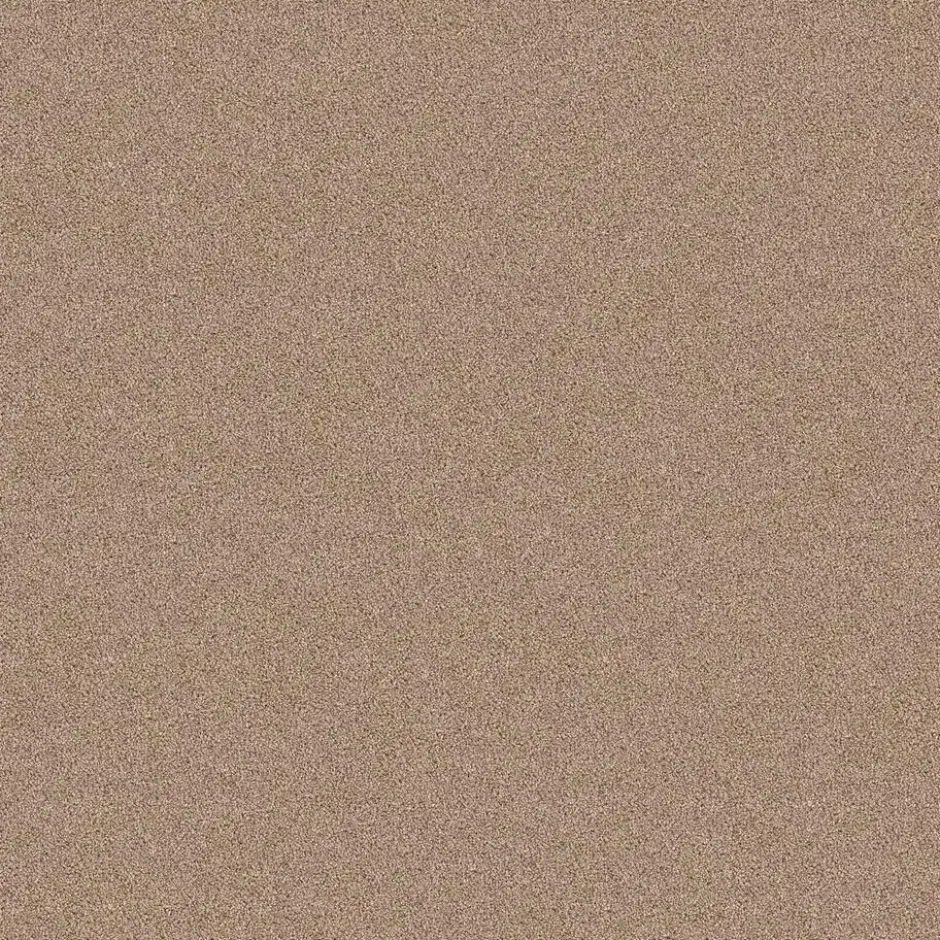 Staal Tapijt Cornell Beige