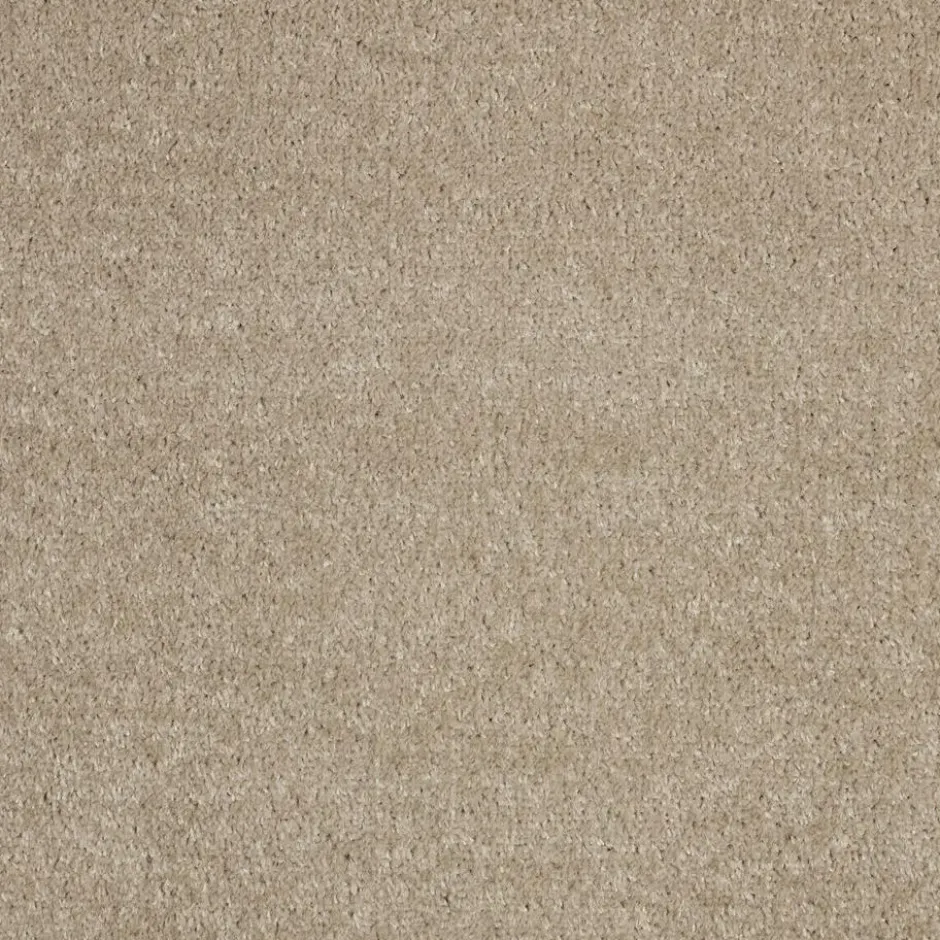 Staal Tapijt Parker Beige