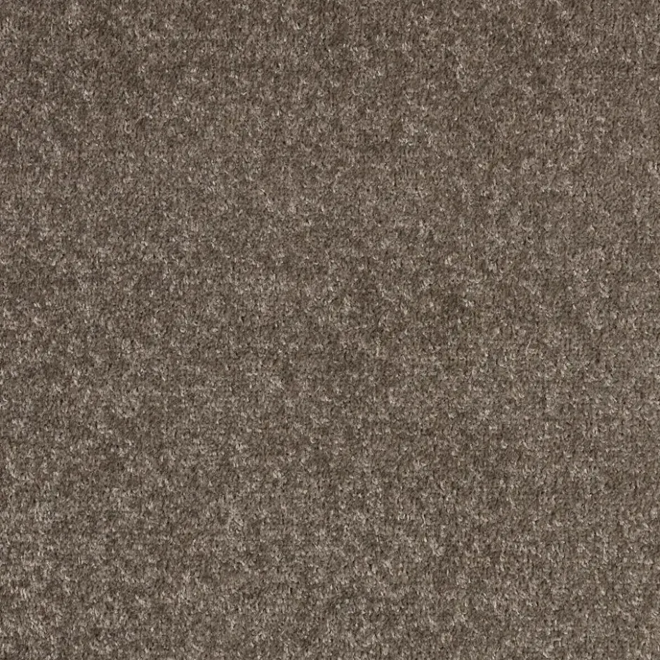 Staal Tapijt Parker Taupe