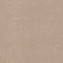 Staal Tapijt Peetz Beige