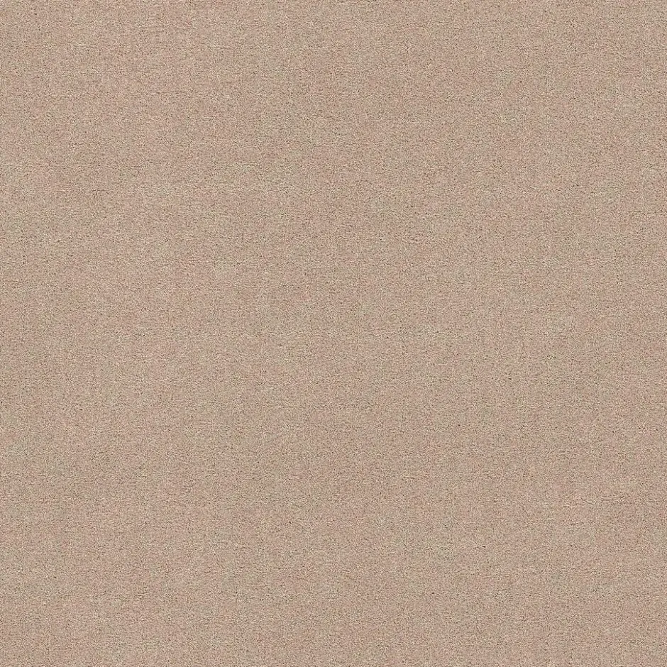 Staal Tapijt Peetz Beige