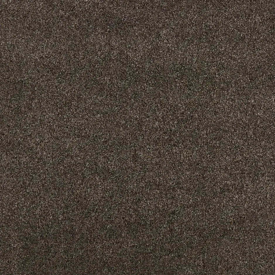 Staal Tapijt Peetz Bruin