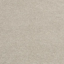 Tapijt Canora Beige