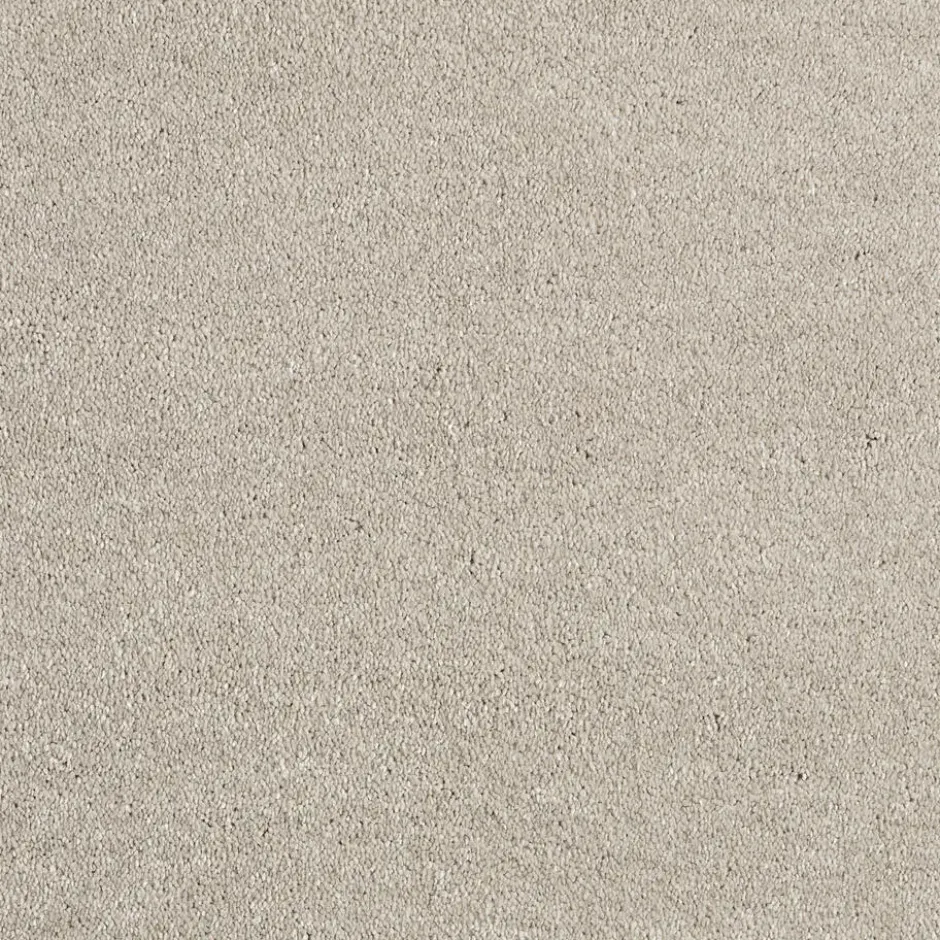 Tapijt Canora Beige