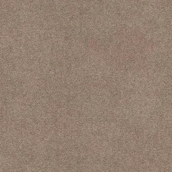 Tapijt Leetsdale Beige