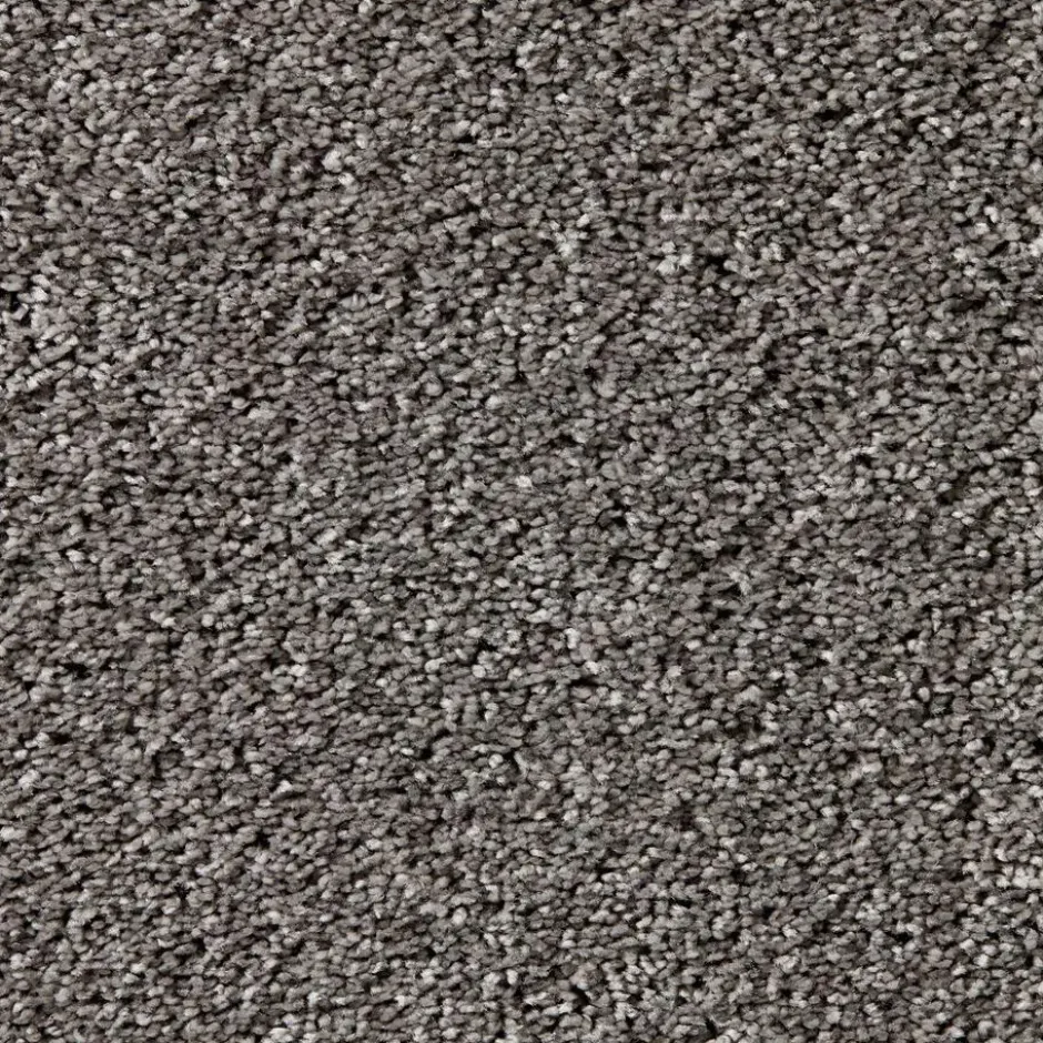 Tapijt Leetsdale Grijs