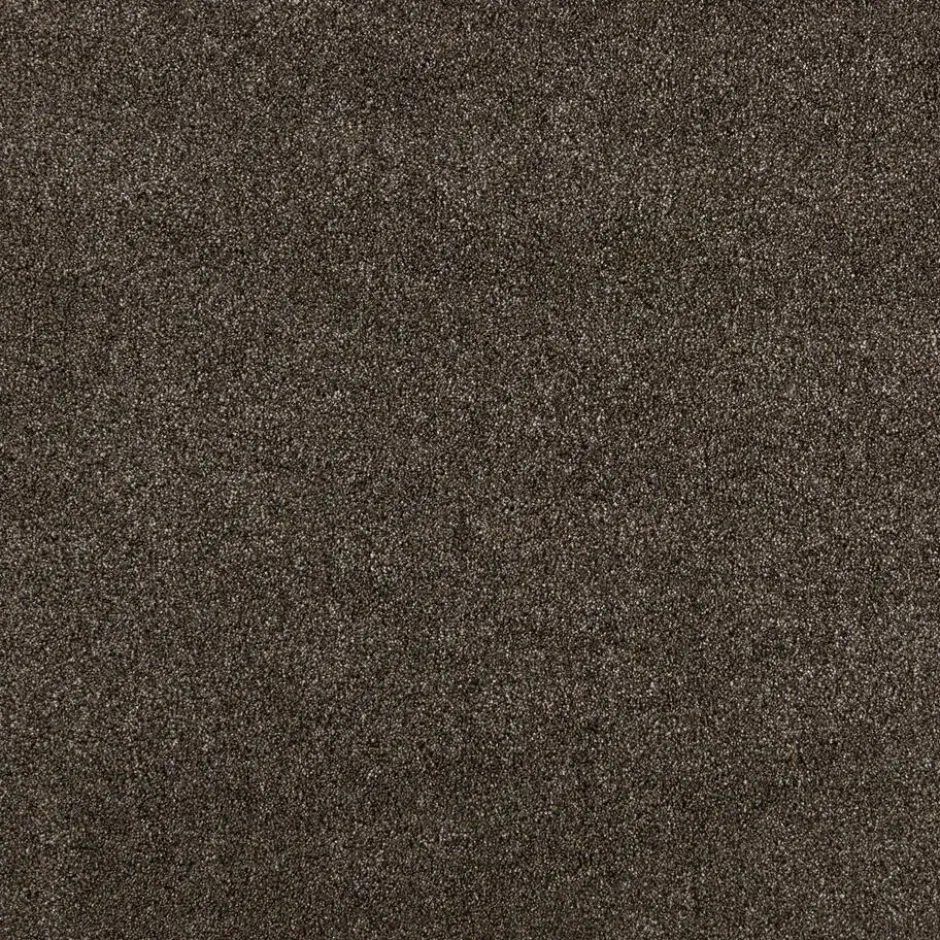 Tapijt Peetz Bruin