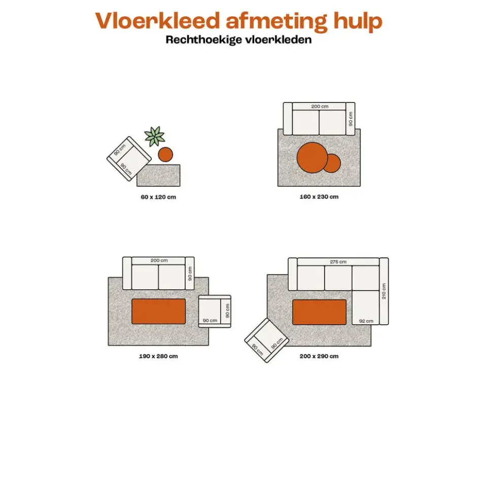 Vloerkleed Tereza Bloem Grijs 160x230 cm